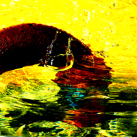 Wasserfarbe N 49 DSCN8291 th